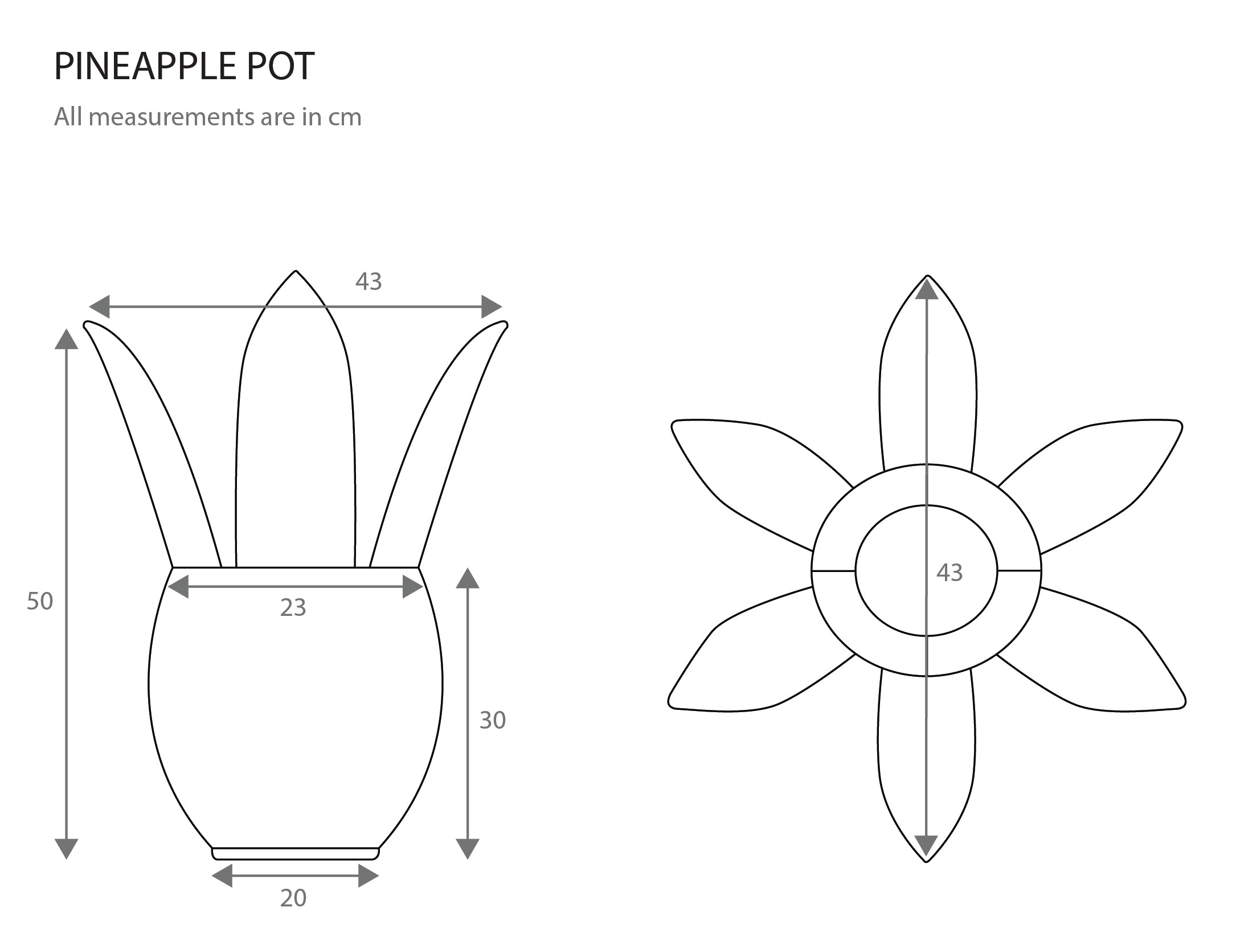 Pineapple Pot