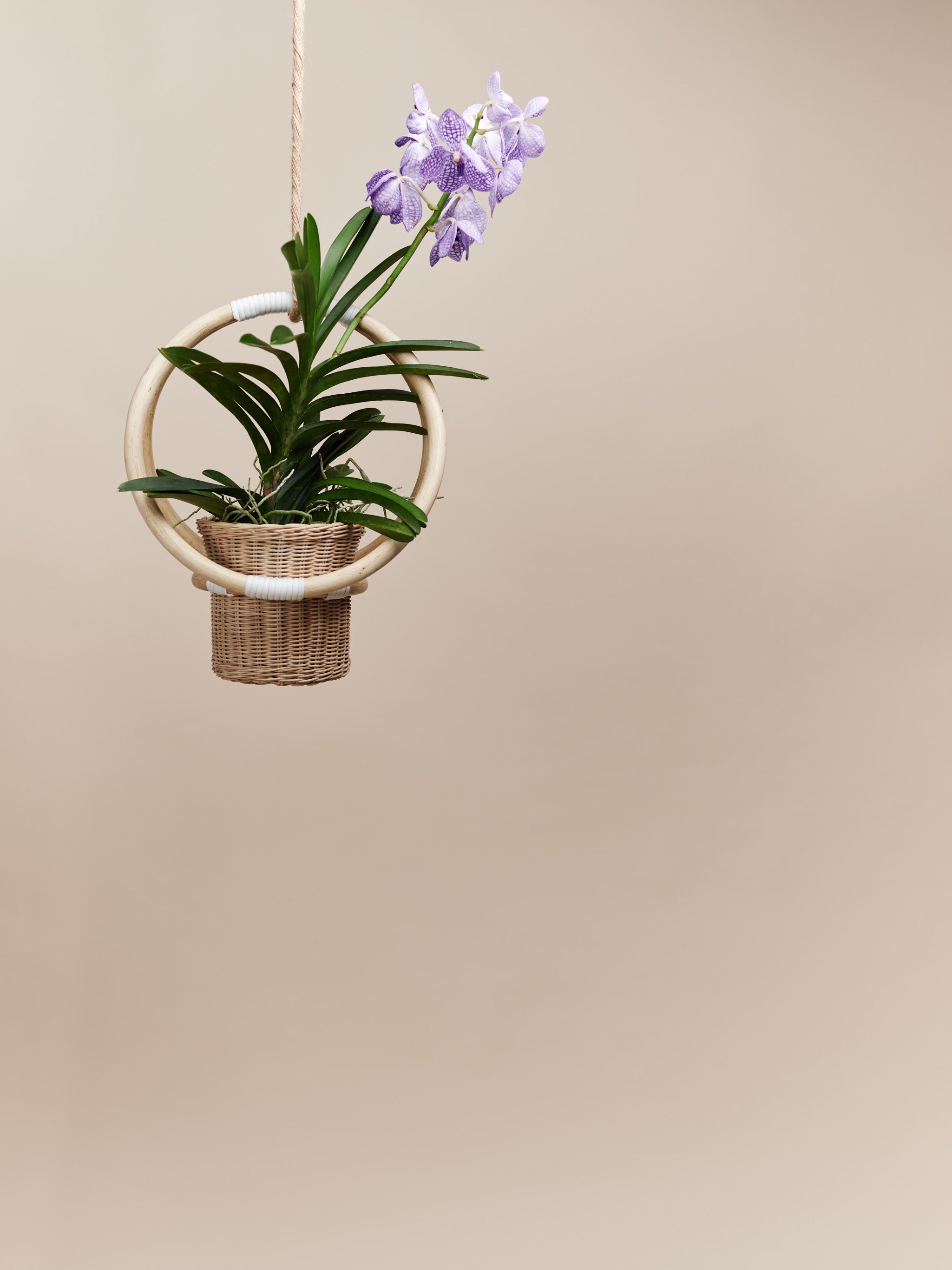 Hoop Planter