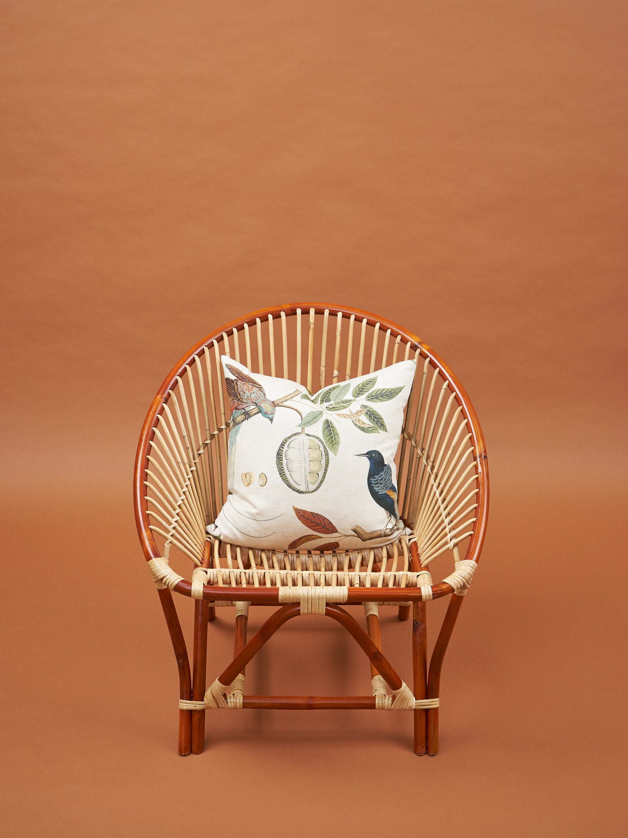 Durian Cushion