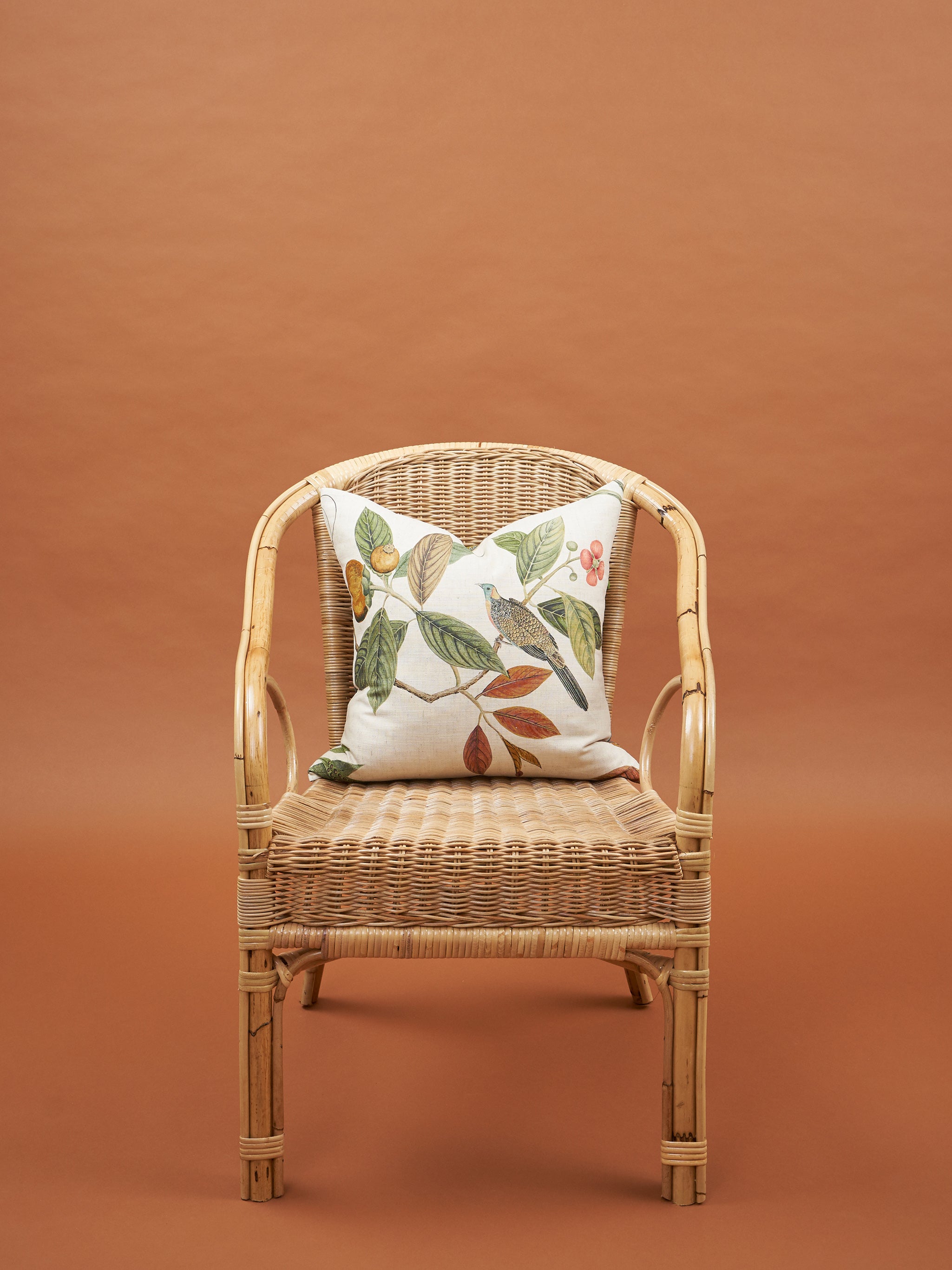 Mangosteen Cushion