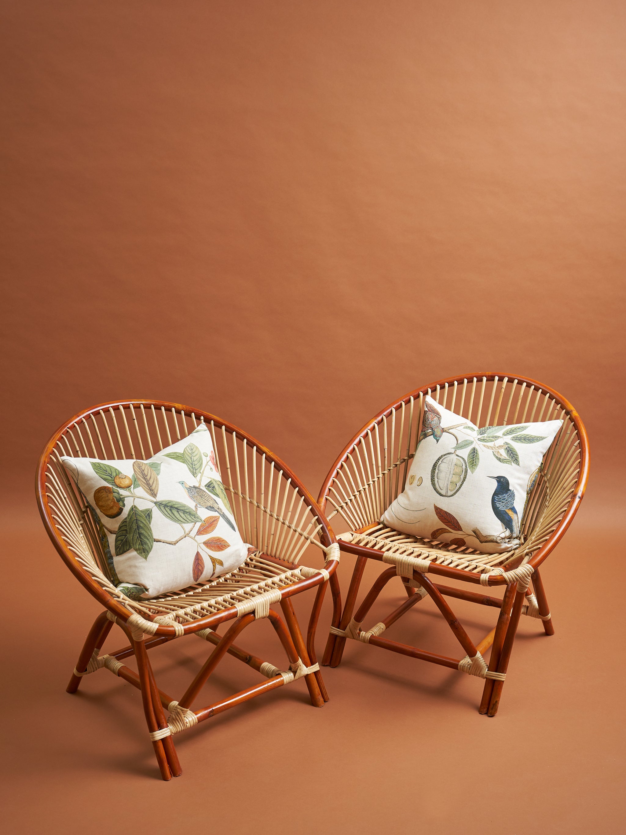 Clam Chair