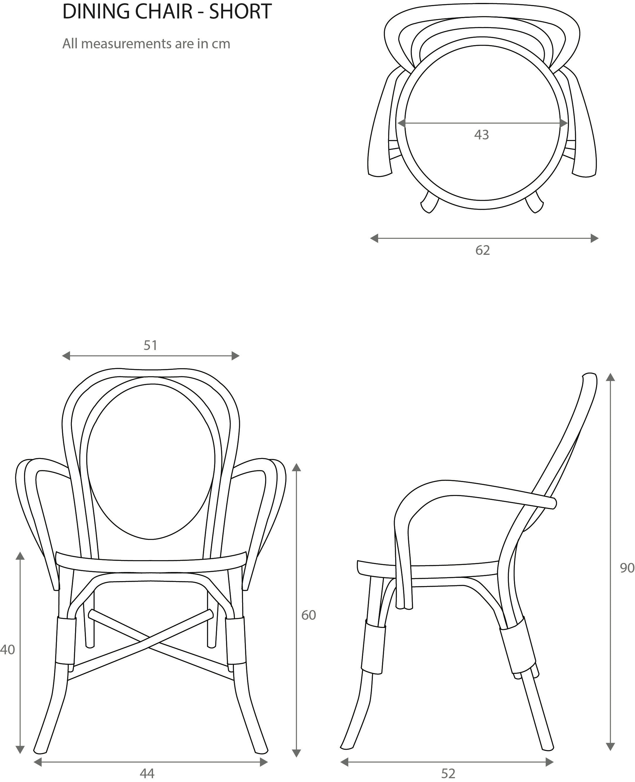 Dining Chair (Black)